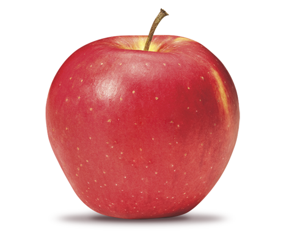 Pomme Evelina